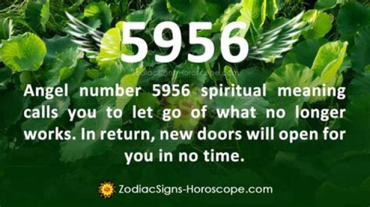 5956 angel number