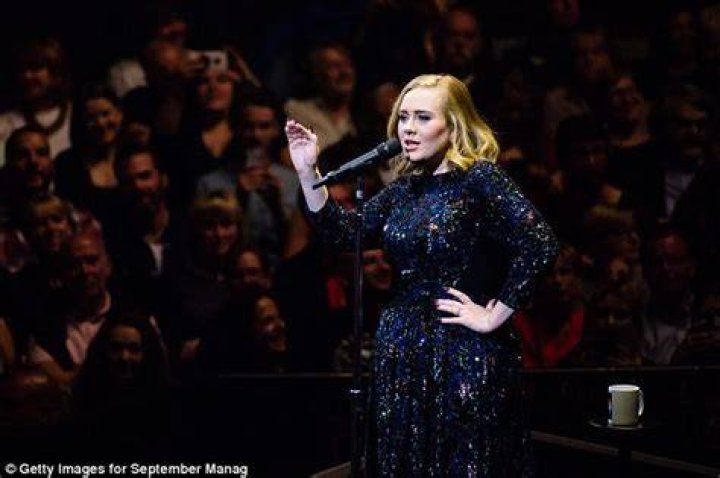 Adele Cancels All Pyrotechnics At Her Concerts Following Accident Involving Son Angelo! Mum's