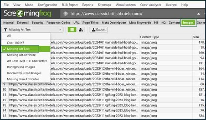 All text is missing from Windows 10