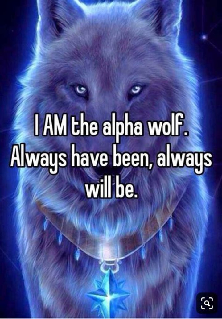 alpha wolf quote alpha wolf quote