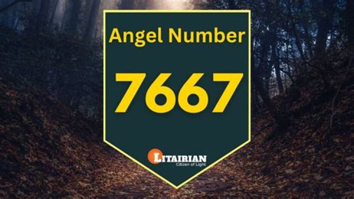 angel number 7667