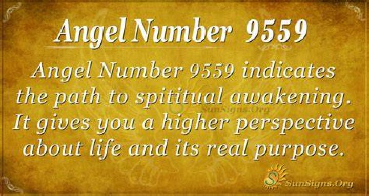 angel number 9559