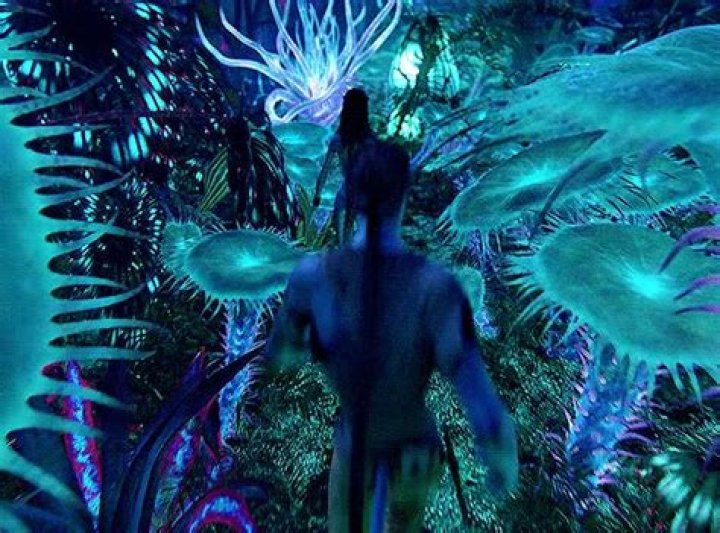 Avatar