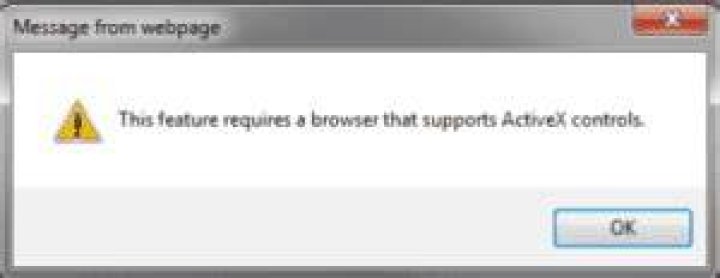 browser that supports activex controls