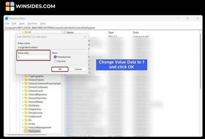 Change value data to fix windows 11 not using all ram