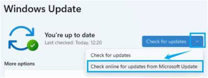 Checking for new updates from Microsoft to download