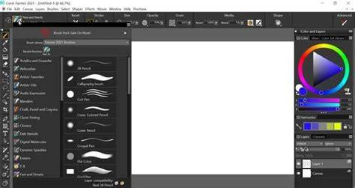 Corel Painter