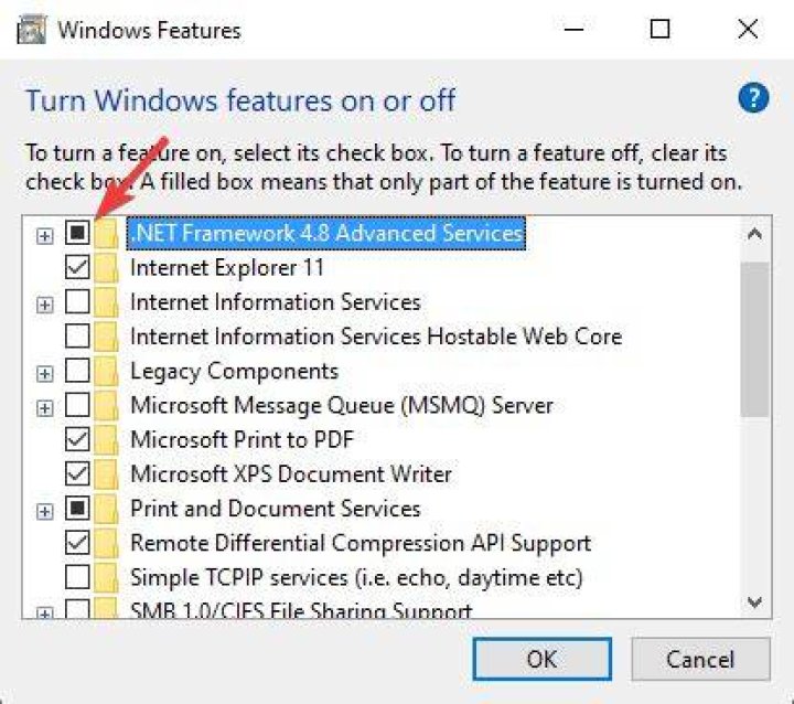 deactivate .NET framework 4.8 deactivate .NET framework 4.8 - citrix receiver a fatal error occurred windows 10