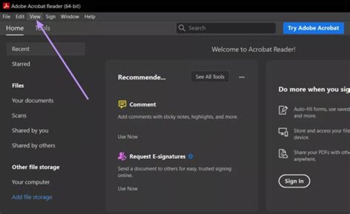 details tab Adobe Reader access denied when opening PDF