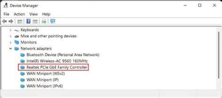 device manager realtek has a driver problem
