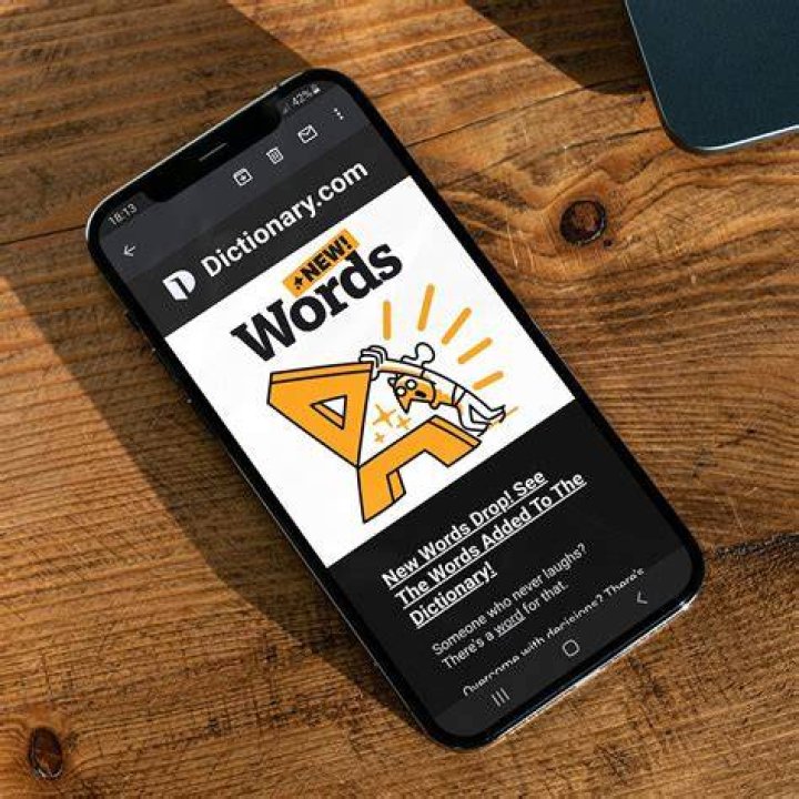 Dictionarydotcom screenshot 2020