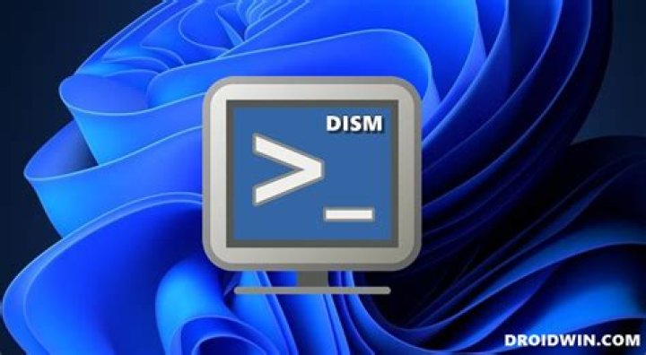 DISM project duplicate not working