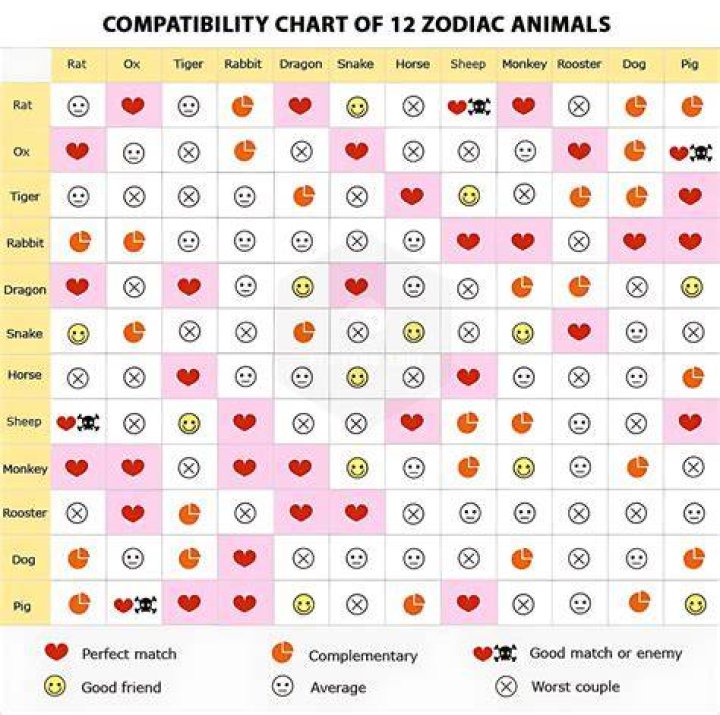Dragon Snake Love Compatibility. The dragon and snake love compatibility will be excellent in a romantic relationship.