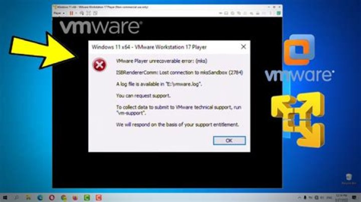 error vmware