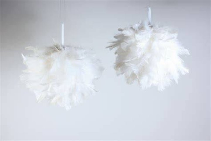 Feather Ball