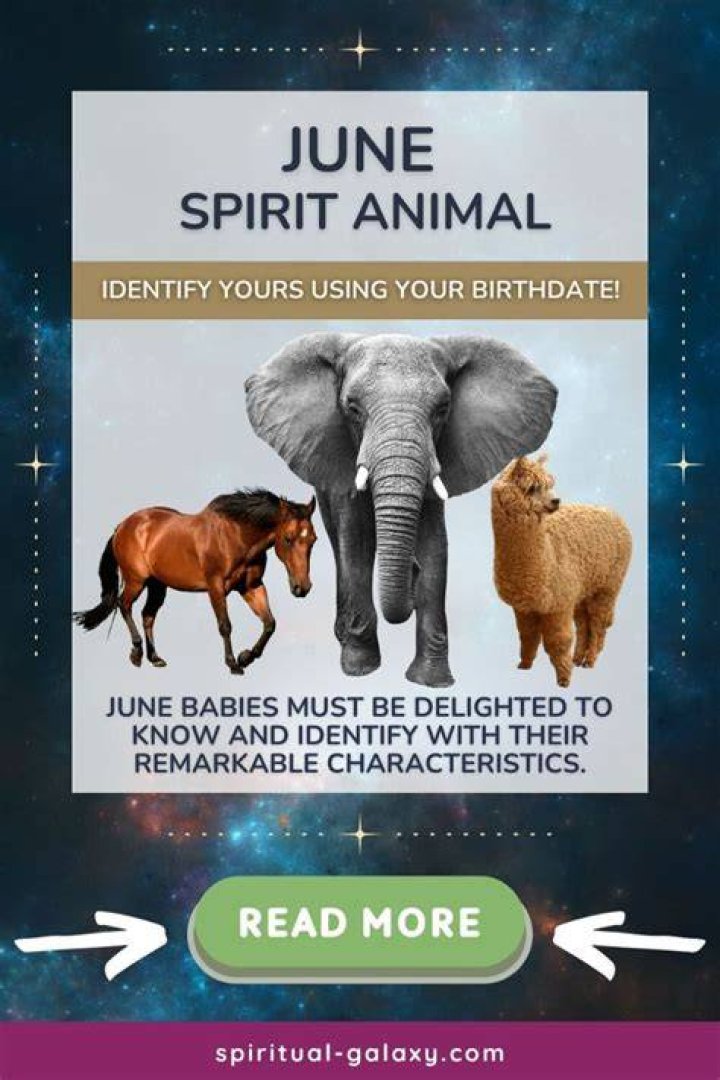 IF YOUR BIRTHDATE IS JUNE 15, you are a individualist with a positive attitude..