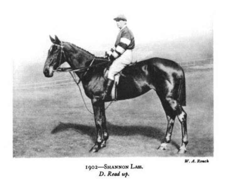 Lass Shannon