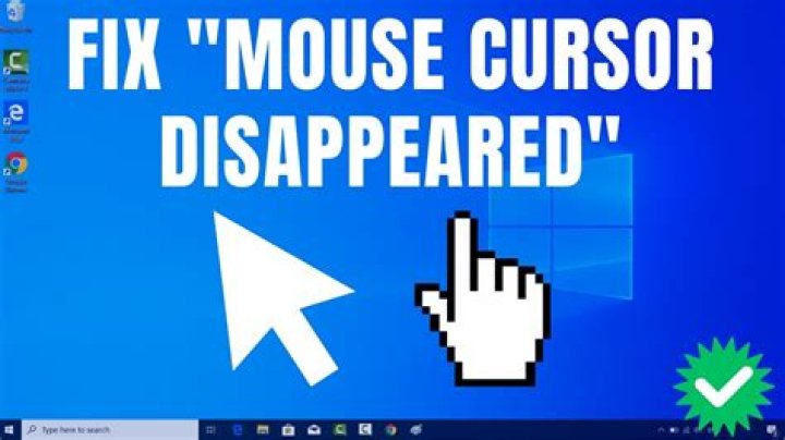mouse pointer is invisible