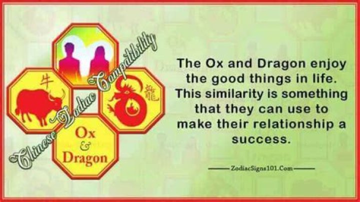 ox dragon compatibility
