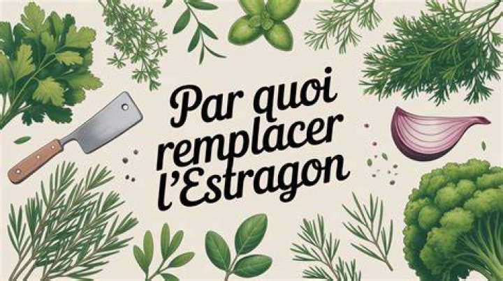 Par Quoi Remplacer L Estragon