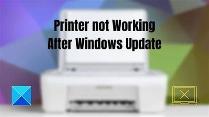 Printer not working on Windows 11? Check out this easy guide