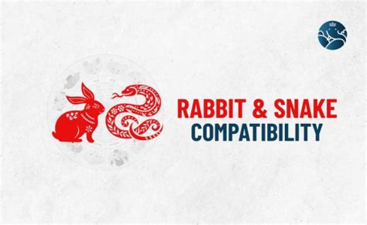 rabbit snake compatibility