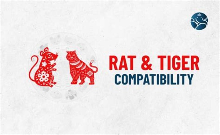rat tiger compatibility