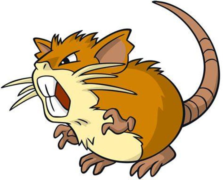 Raticate