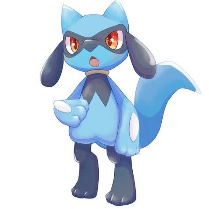 Riolu