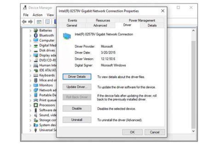 roll back display driver windows 10