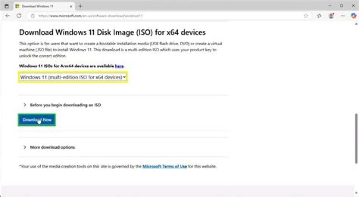 select Windows 11 (multi-edition ISO) - click to download