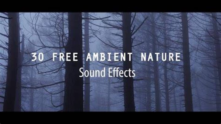 Sounds