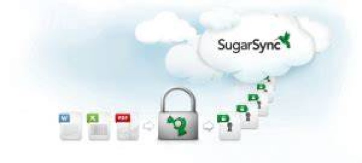SugarSync quits unexpectedly