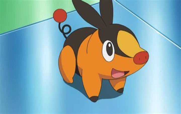 Tepig