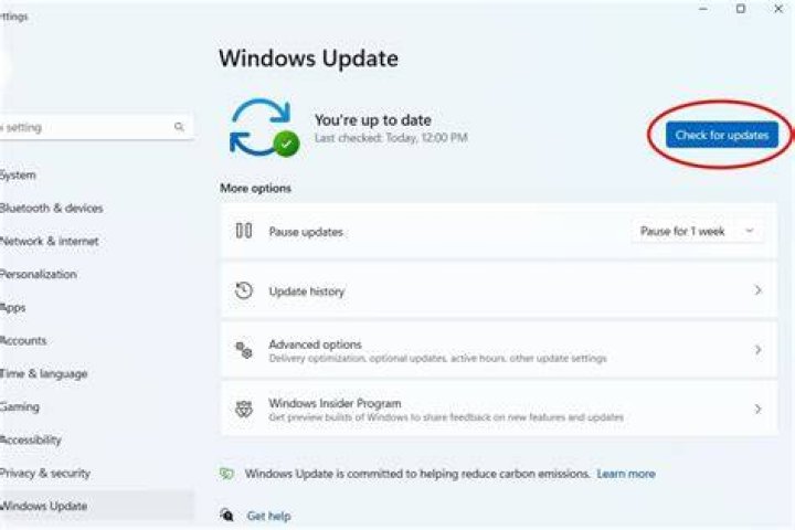 The Check for updates button Data Bus Error