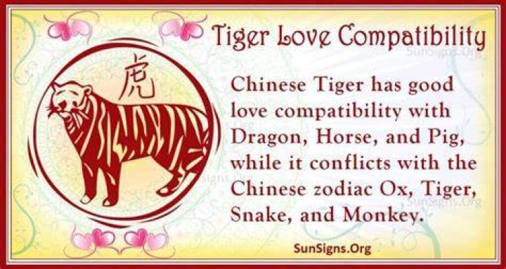 tiger love compatibility