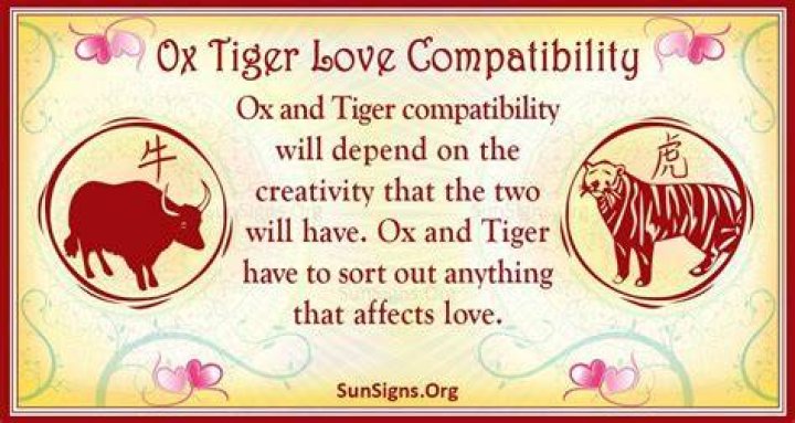 tiger ox compatibility