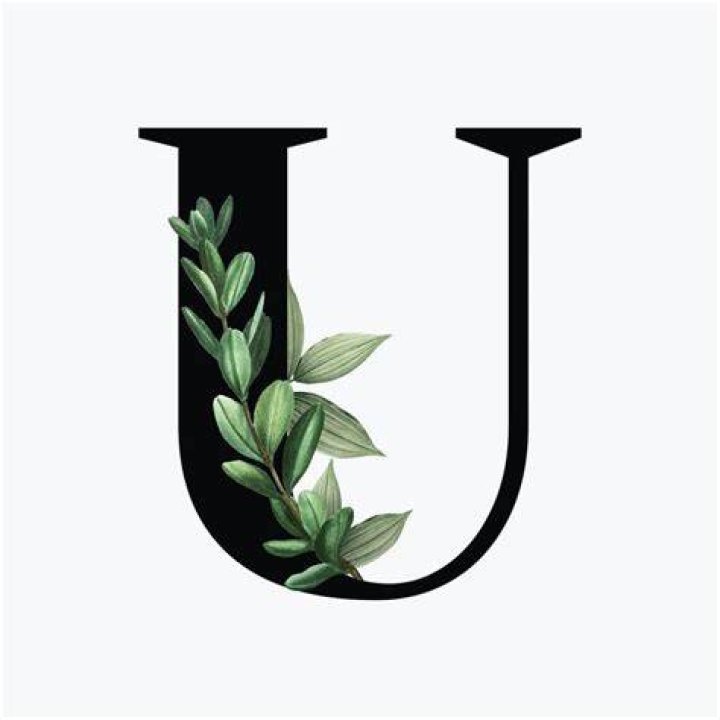 U