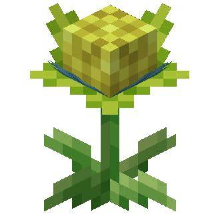 Vivichoke