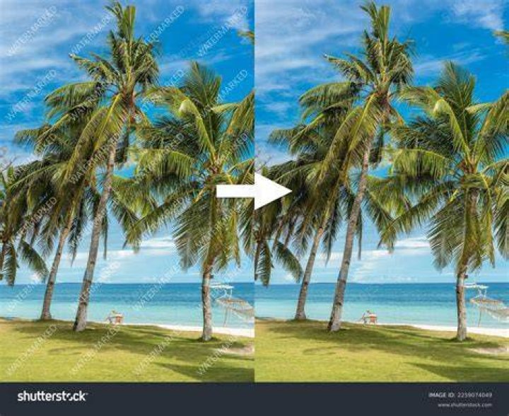 watermark example watermark example