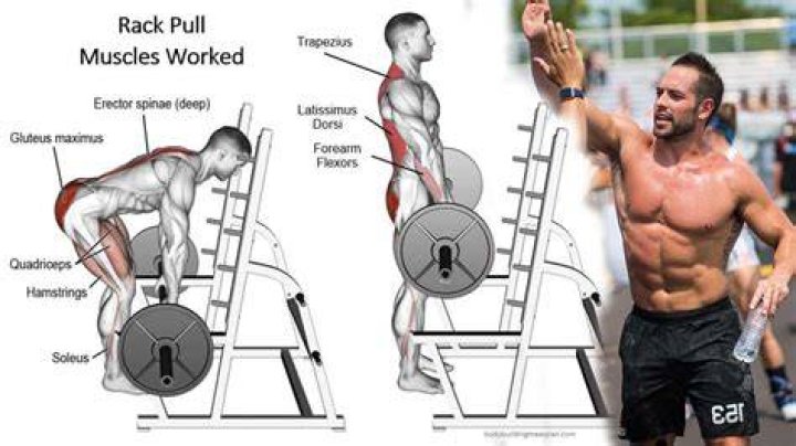 What Do Rack Pulls Work