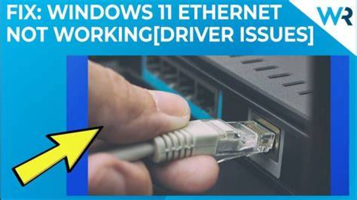 Windows 11 Ethernet not working [Driver issues]