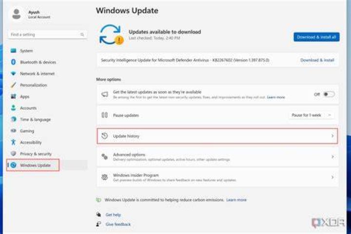 Windows Update tab