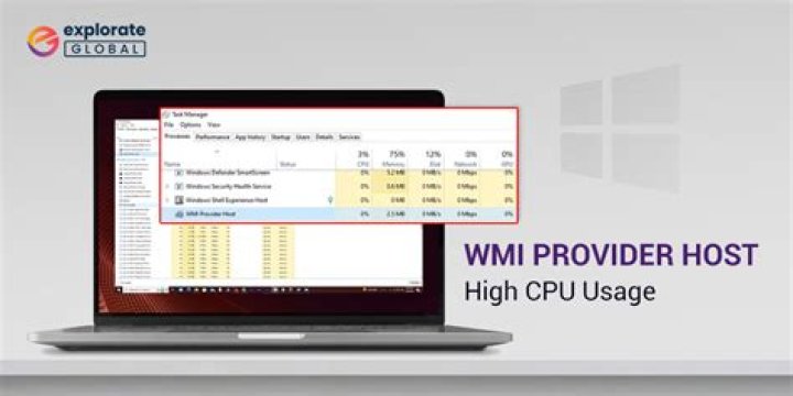 wmi provider host high cpu windows 11