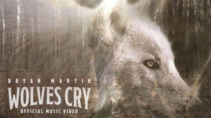 Wolves Cry Music Video
